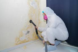 Mold Removal for HVAC Installations in East Cleveland, OH